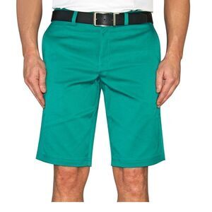 Mens Nike Dri-Fit Standard Fit Golf Shorts Green